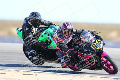 media/Feb-12-2022-SoCal Trackdays (Sat) [[3b21b94a56]]/Turn 11 Inside (155pm)/